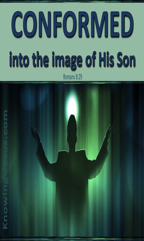 Romans 8:29 Conformed Into The Image Of Christ (aqua)